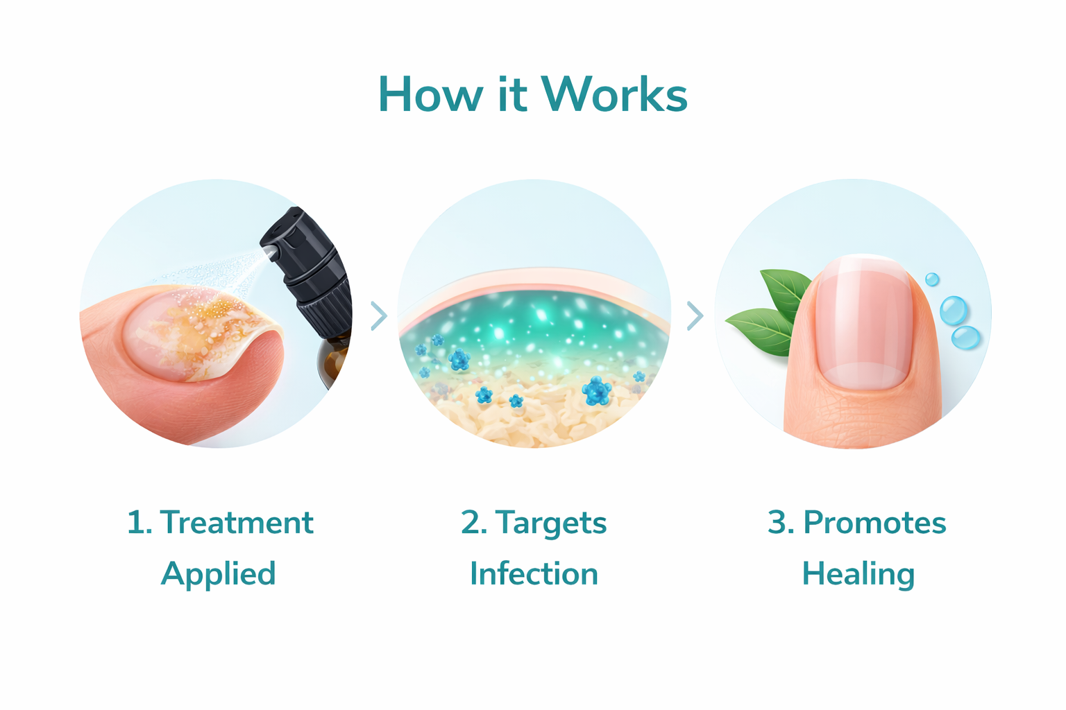 How it works infographic